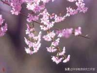 文昌铜许文电子商务有限公司