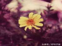 文昌铜许文电子商务有限公司