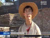 文昌铜许文电子商务有限公司