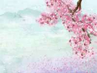 文昌铜许文电子商务有限公司
