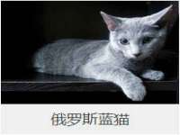 文昌铜许文电子商务有限公司