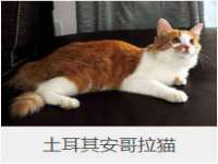 文昌铜许文电子商务有限公司