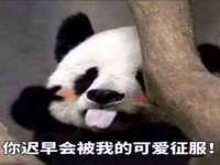 文昌铜许文电子商务有限公司