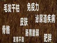 文昌铜许文电子商务有限公司