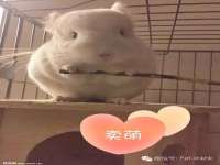 文昌铜许文电子商务有限公司