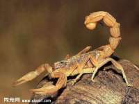 文昌铜许文电子商务有限公司