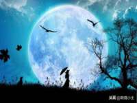 文昌铜许文电子商务有限公司